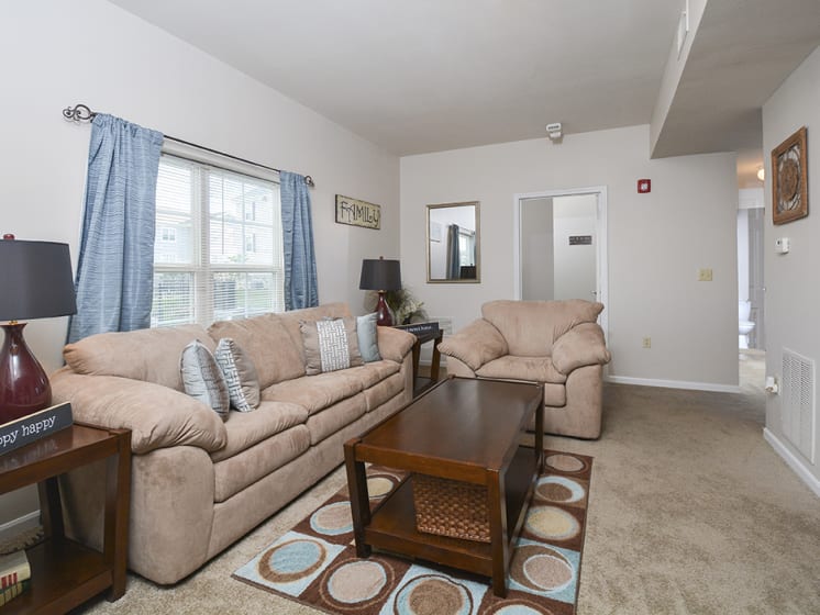Living Room and Entrance